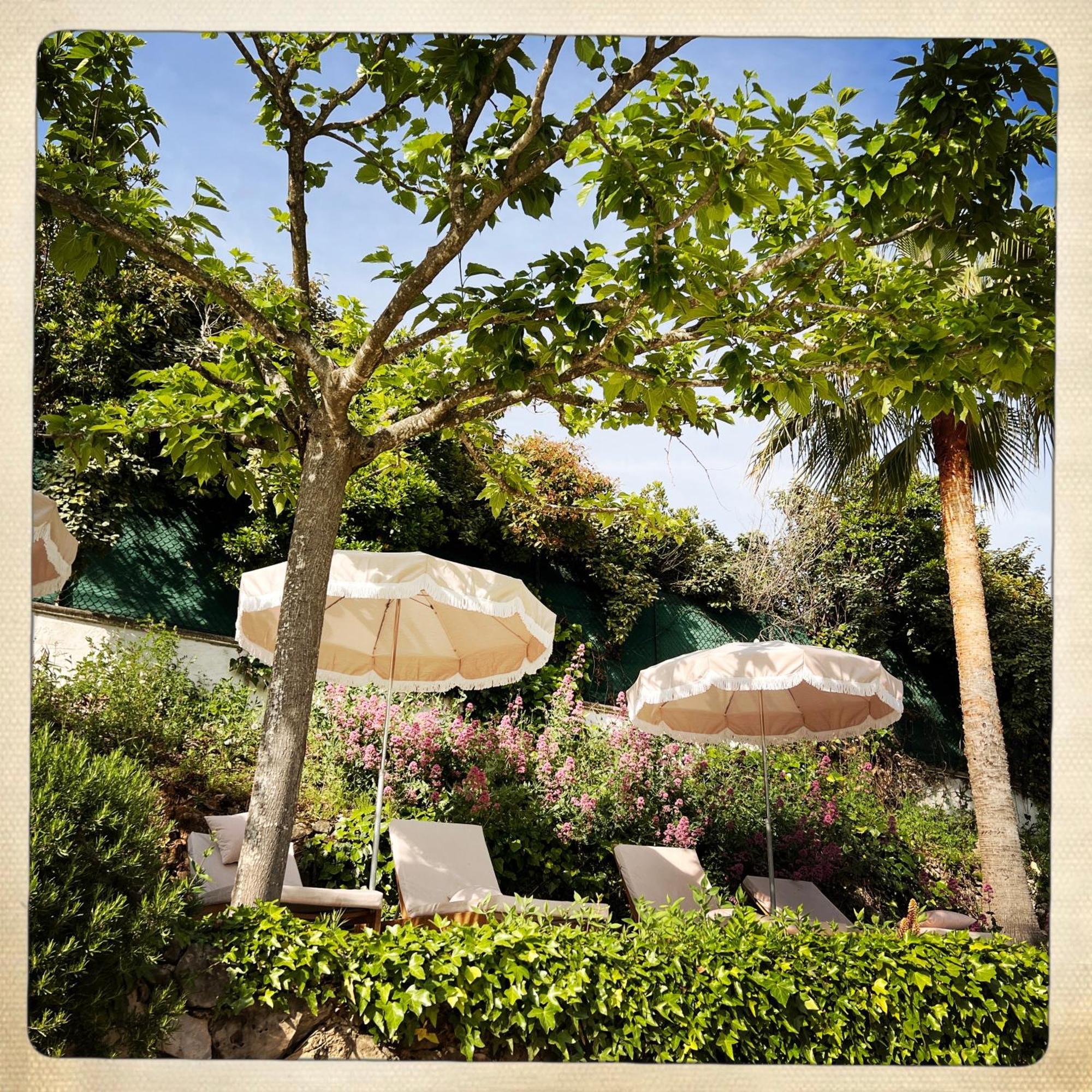 Hotel Les Messugues Saint-Paul-de-Vence Zewnętrze zdjęcie